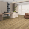 Hedsom SPC Flooring HP-2510